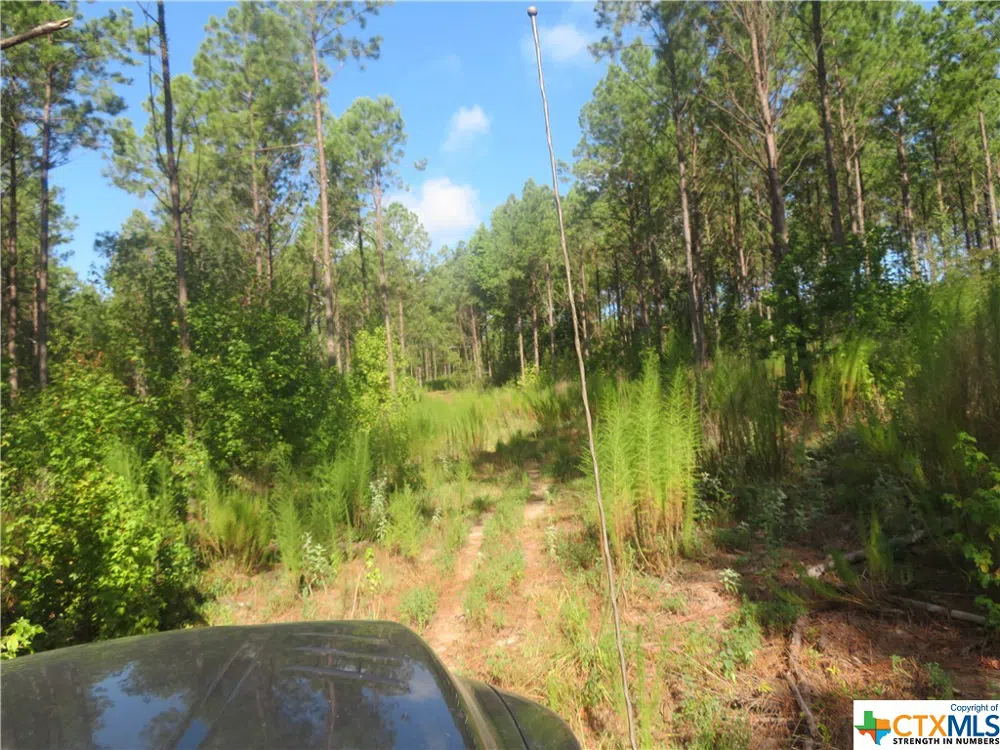 999 CO RD 1101 Newton, TX 75977