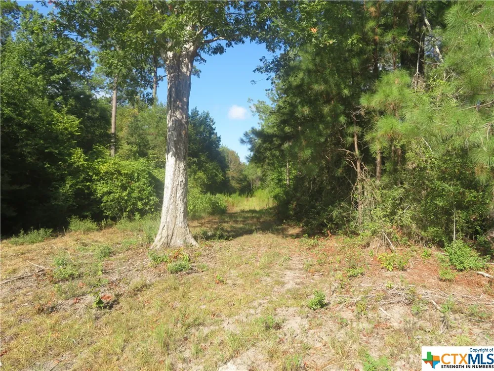 999 CO RD 1101 Newton, TX 75977