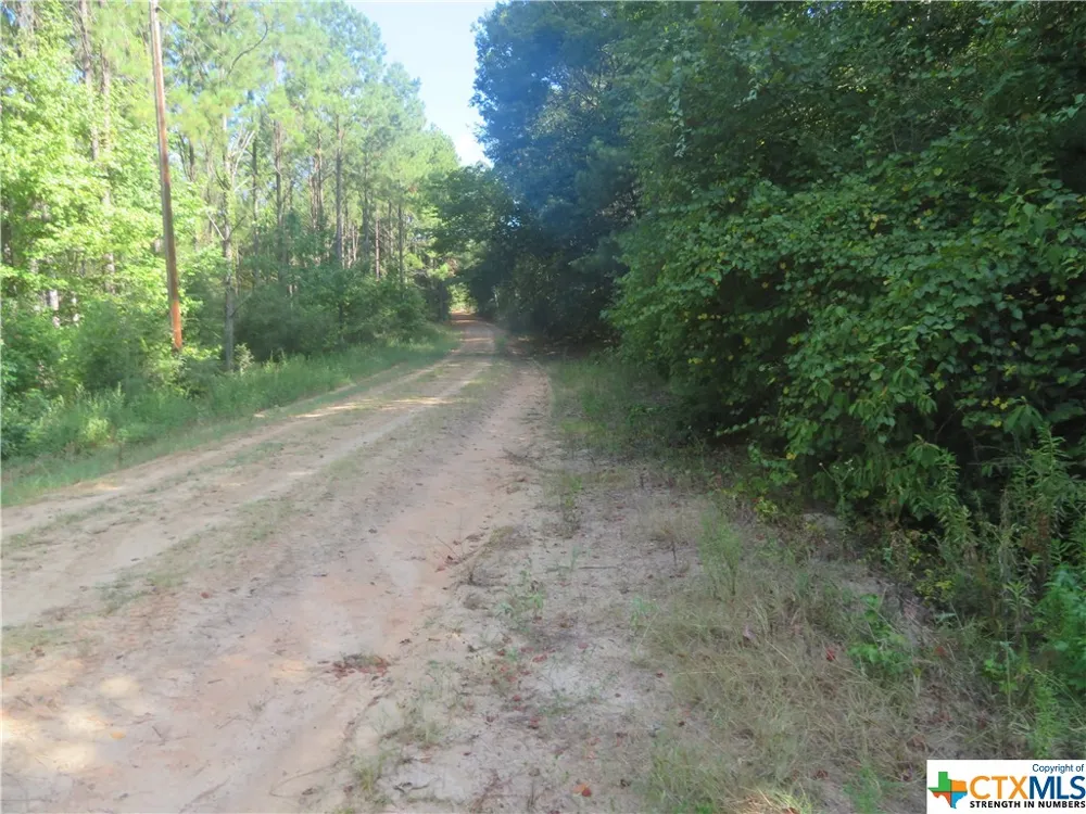 999 CO RD 1101 Newton, TX 75977
