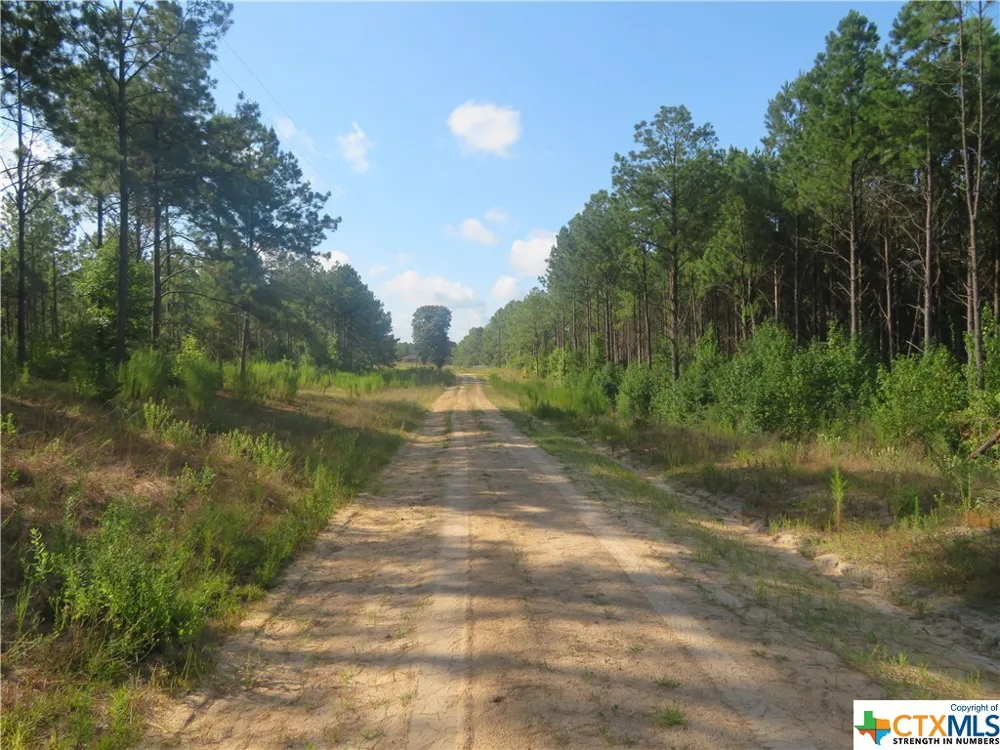 999 CO RD 1101 Newton, TX 75977