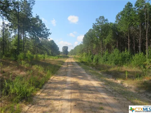 999 CO RD 1101