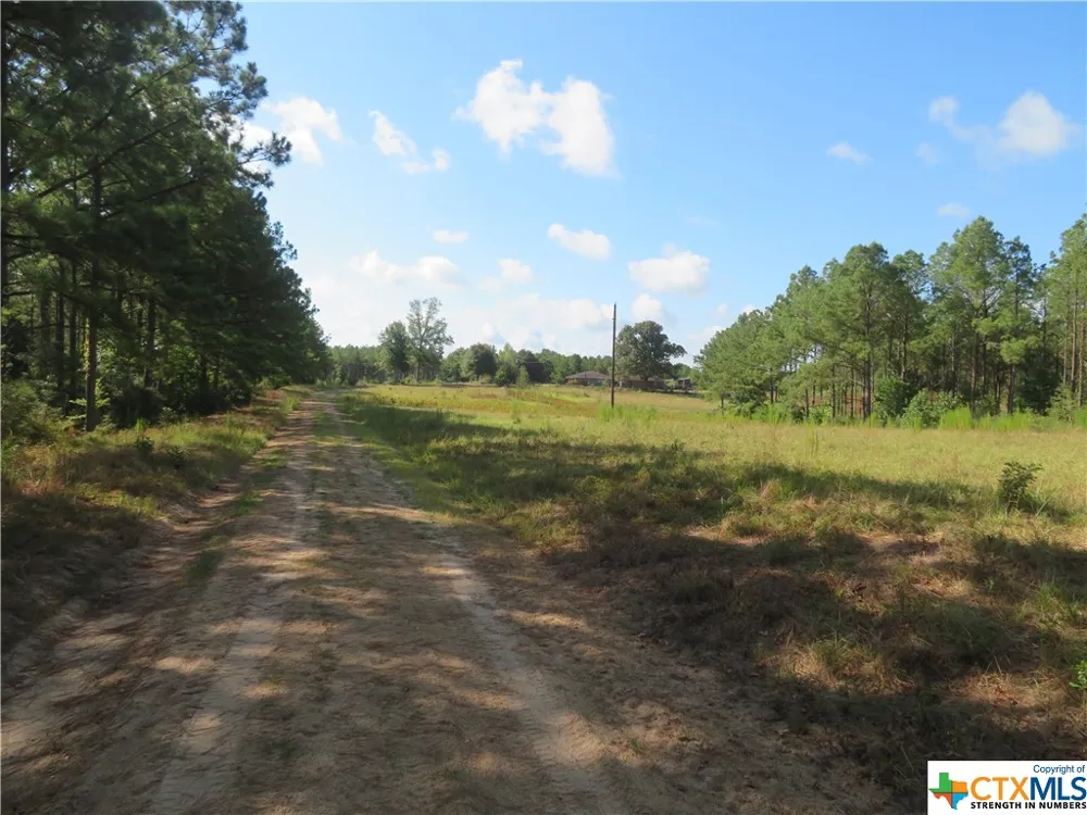 999 CO RD 1101 Newton, TX 75977