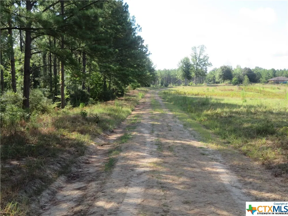 999 CO RD 1101 Newton, TX 75977