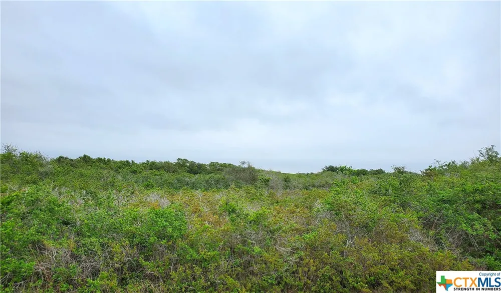 CARABAJAL ROAD Seadrift, TX 77983