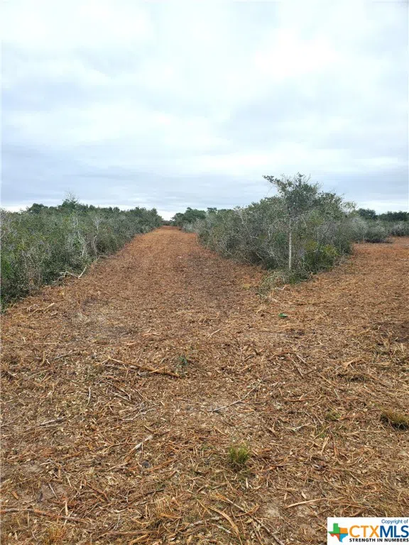 CARABAJAL ROAD Seadrift, TX 77983