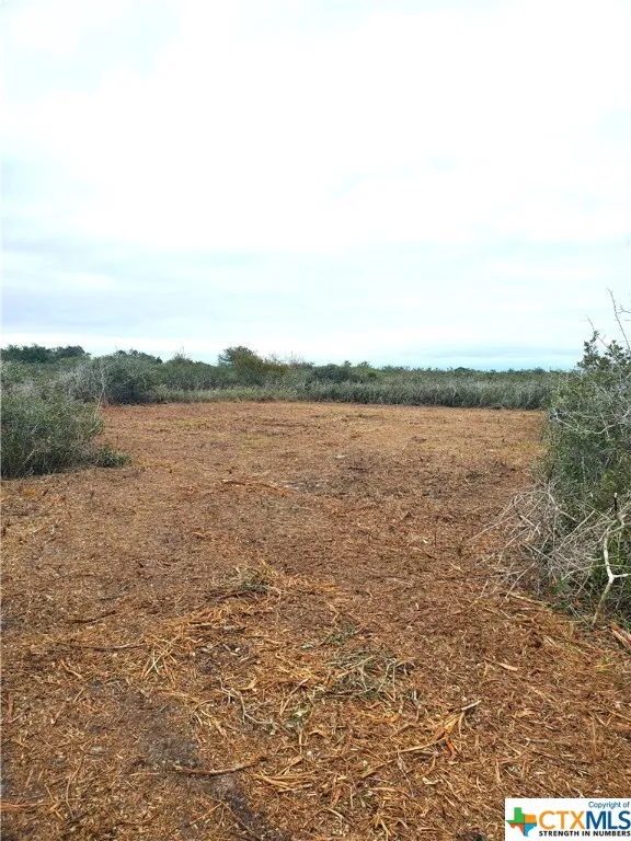 CARABAJAL ROAD Seadrift, TX 77983
