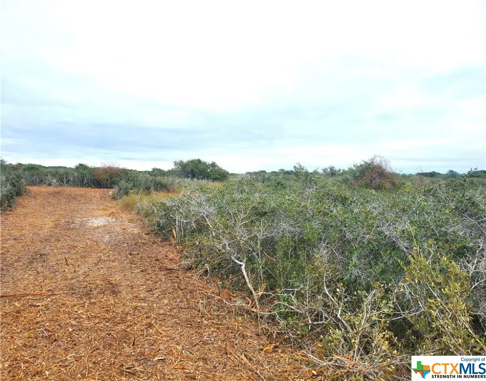 CARABAJAL ROAD Seadrift, TX 77983