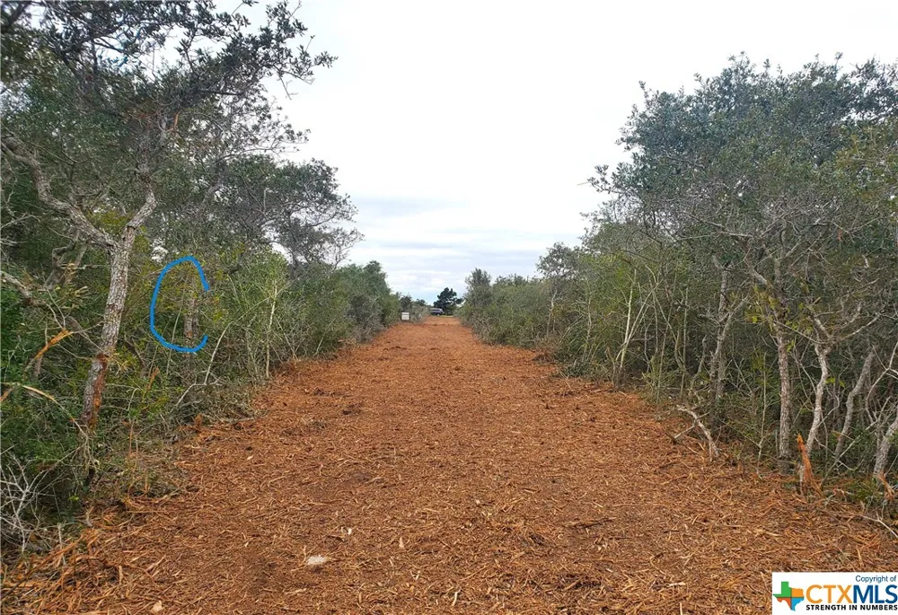 CARABAJAL ROAD Seadrift, TX 77983