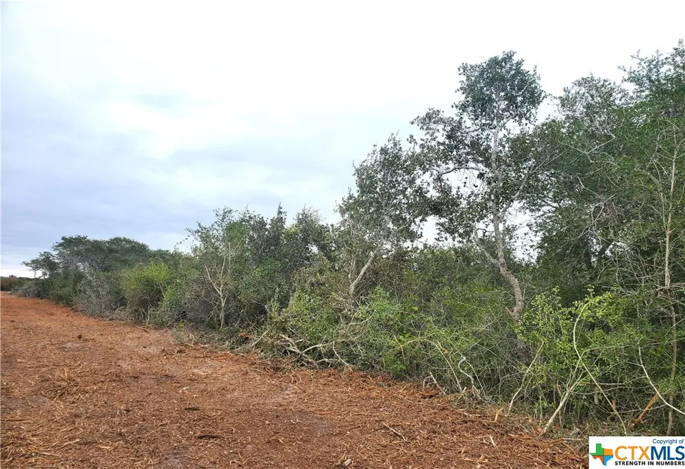 CARABAJAL ROAD Seadrift, TX 77983