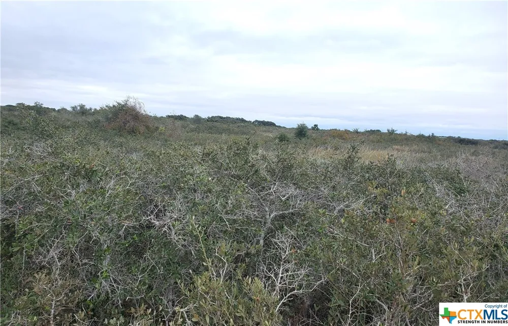CARABAJAL ROAD Seadrift, TX 77983
