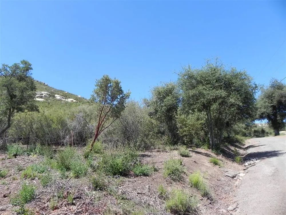 Off Viejas Grade Descanso, CA 91916
