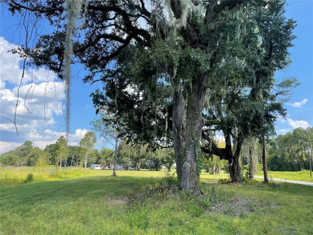 4102 COUNTY ROAD 181 Wildwood, FL 34785