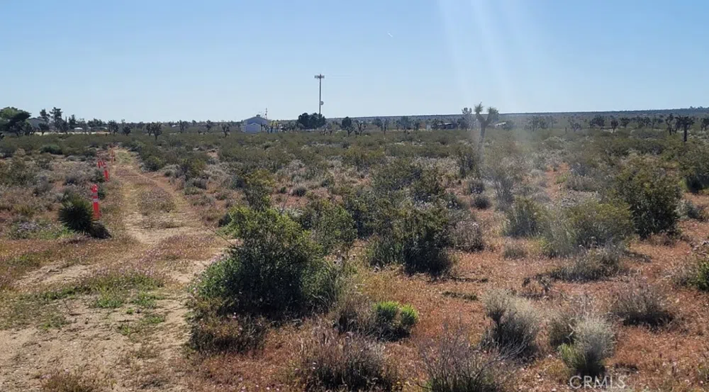 Vac/Vic Pb Hwy/184 Ste Black Butte, CA 93591