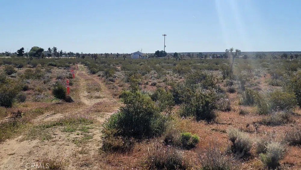 Vac/Vic Pb Hwy/184 Ste Black Butte, CA 93591