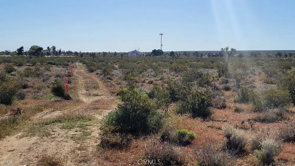 Vac/Vic Pb Hwy/184 Ste Black Butte, CA 93591