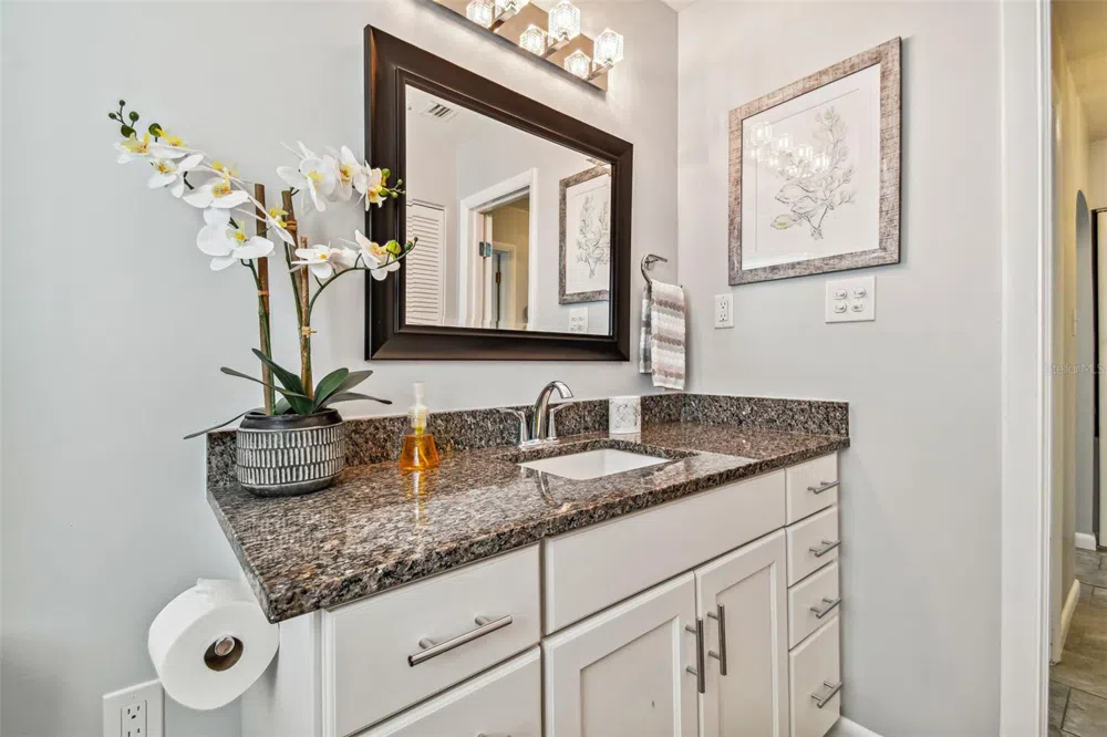 1523 BAYSHORE BOULEVARD #6 Dunedin, FL 34698