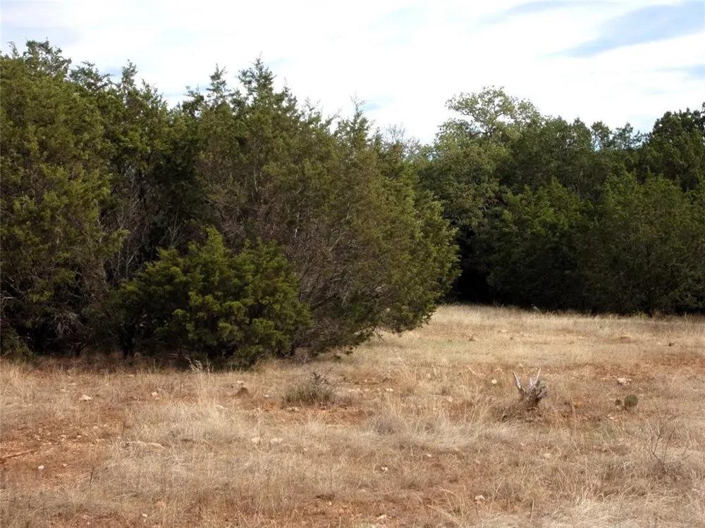 CR 310 San Saba, TX 76877