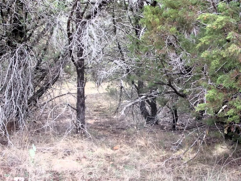 CR 310 San Saba, TX 76877