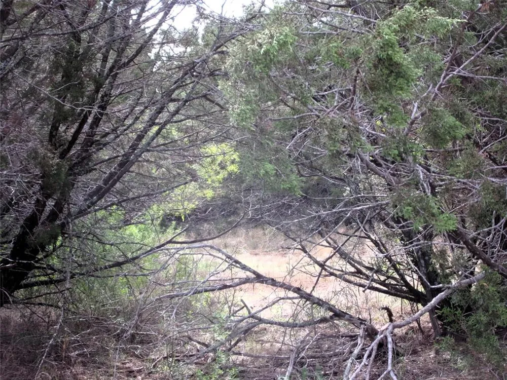 CR 310 San Saba, TX 76877