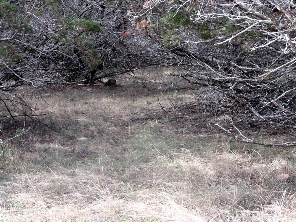 CR 310 San Saba, TX 76877