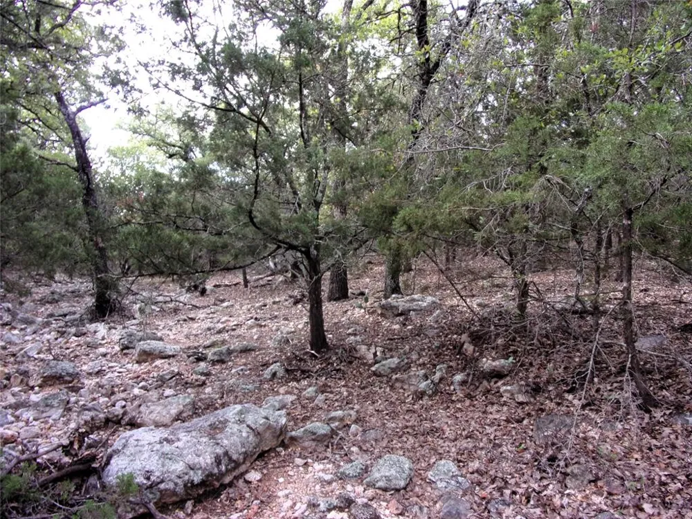 CR 310 San Saba, TX 76877
