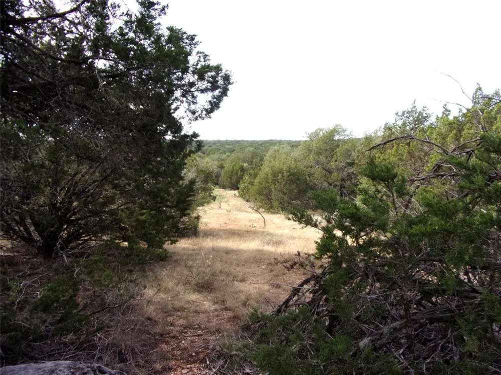 CR 310 San Saba, TX 76877