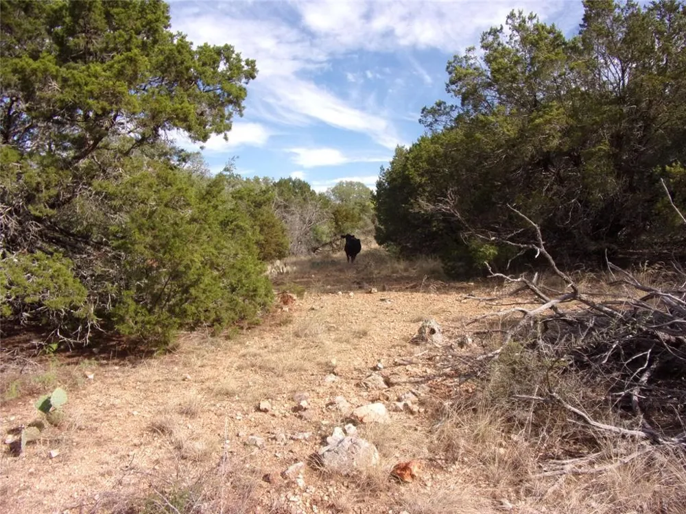 CR 310 San Saba, TX 76877