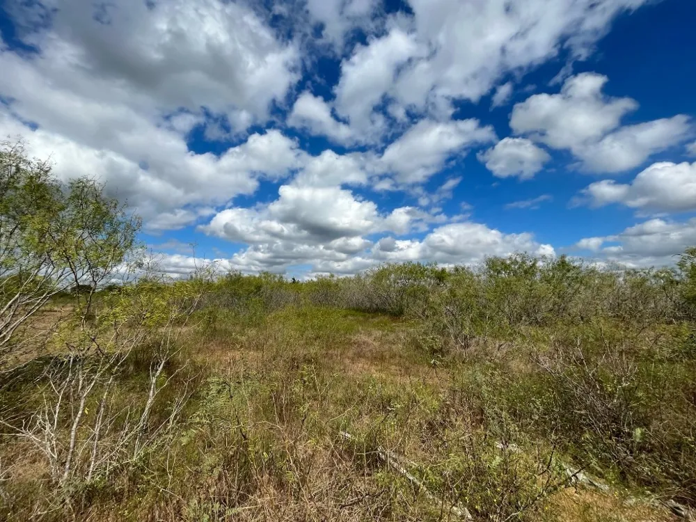 775 Thompson Road Dale, TX 78616