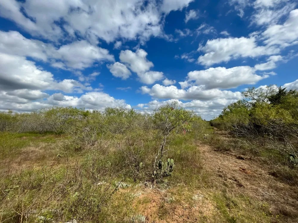 775 Thompson Road Dale, TX 78616