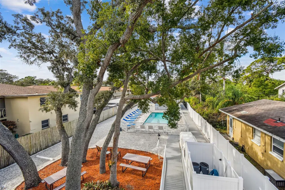 1523 BAYSHORE BOULEVARD #3 Dunedin, FL 34698