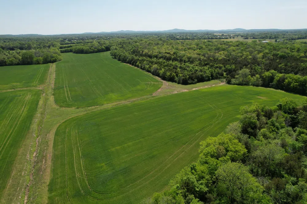 0 Highway 41A Eagleville, TN 37060
