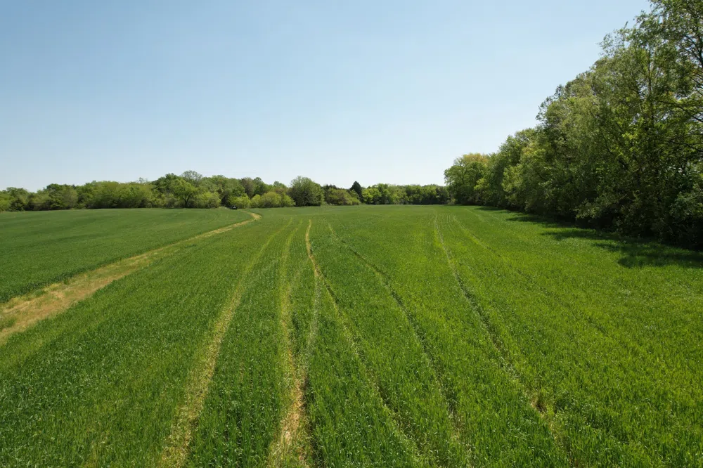 0 Highway 41A Eagleville, TN 37060