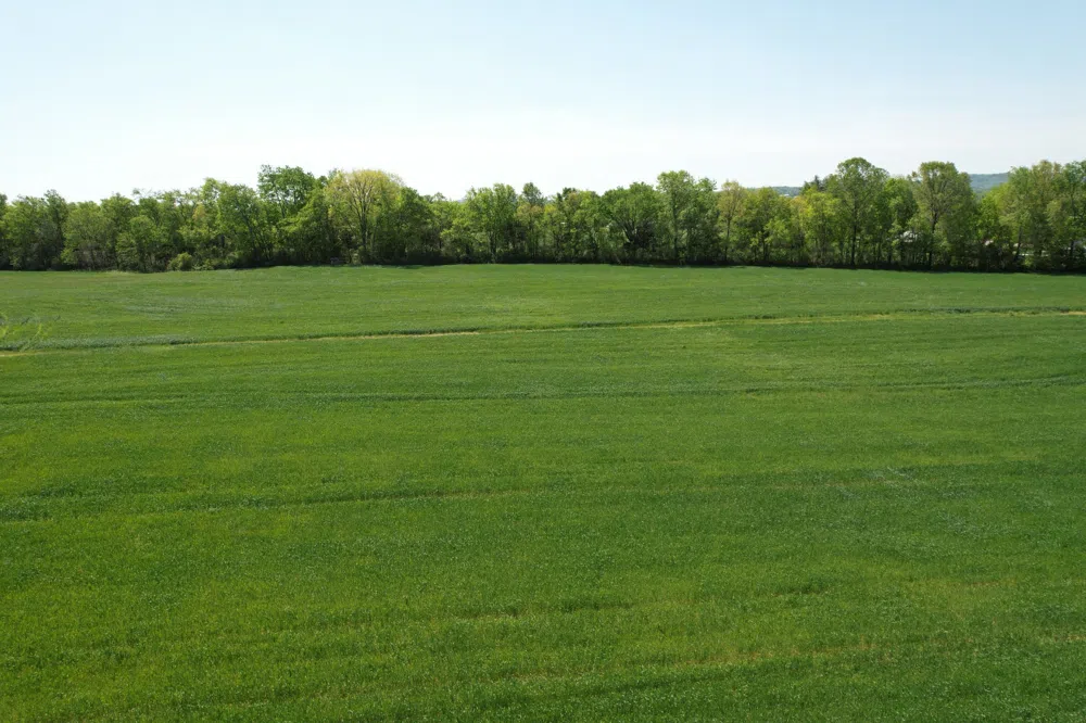 0 Highway 41A Eagleville, TN 37060