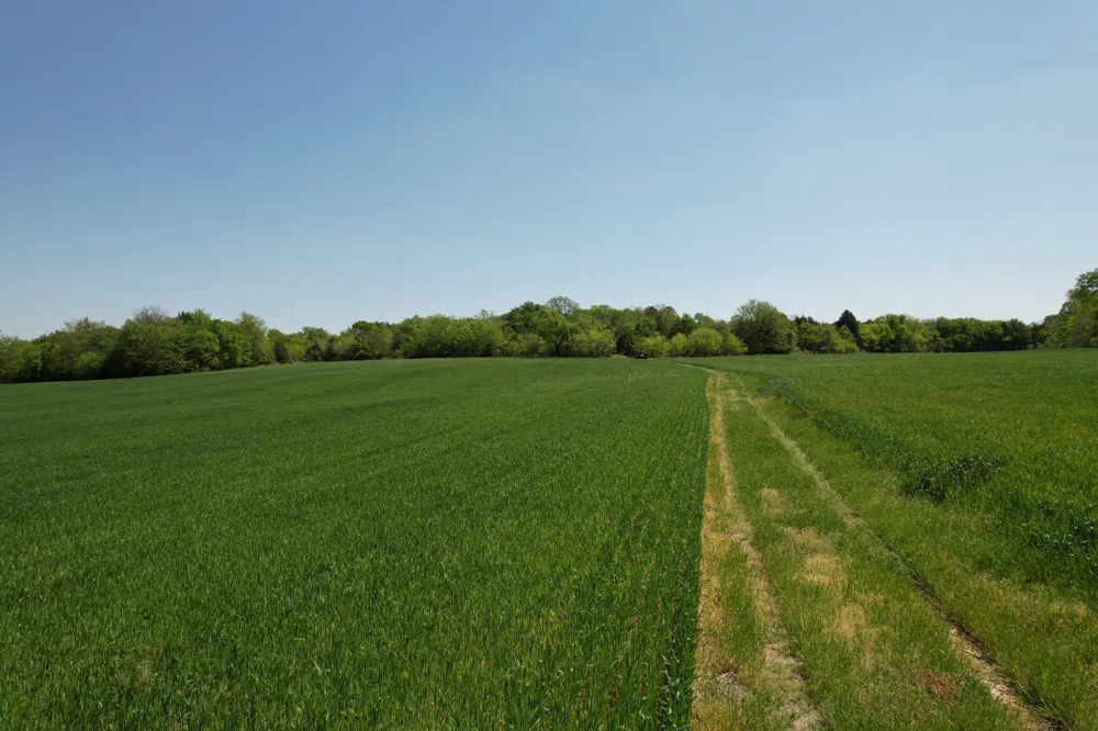 0 Highway 41A Eagleville, TN 37060