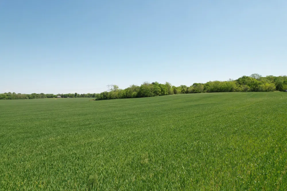 0 Highway 41A Eagleville, TN 37060