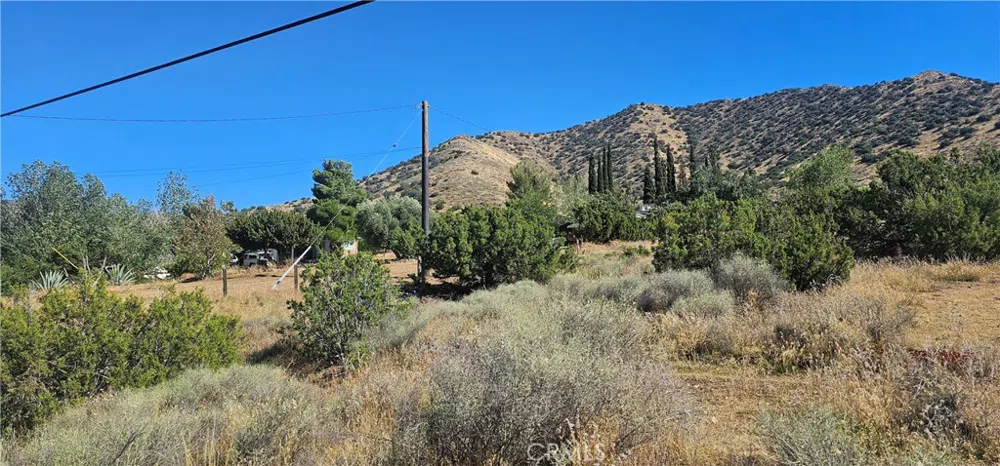 Soledad Pass Road Acton, CA 93510