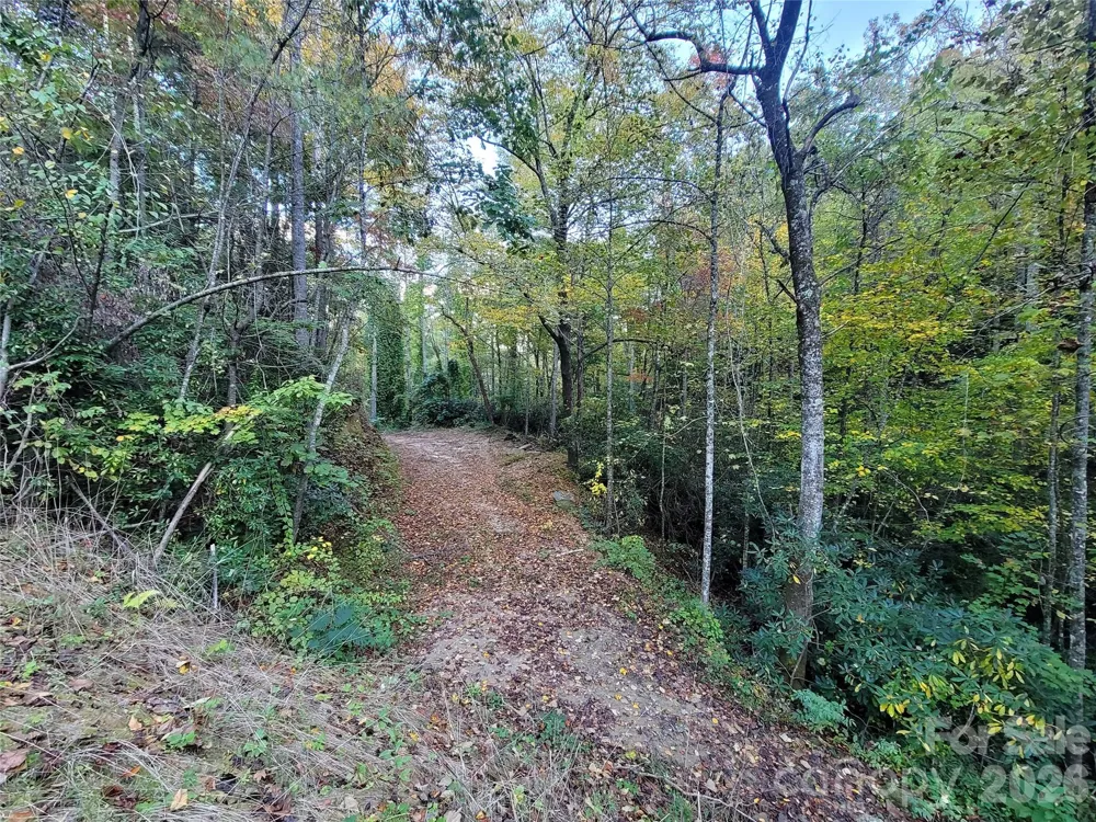 0 Big Hungry Road Flat Rock, NC 28731