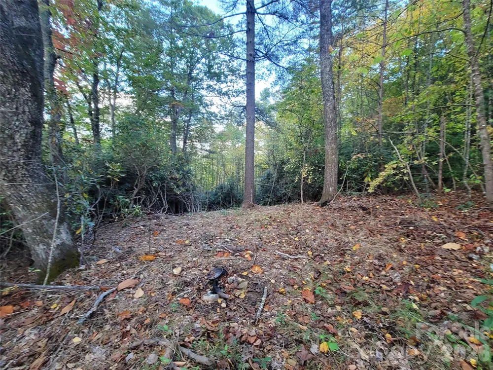0 Big Hungry Road Flat Rock, NC 28731