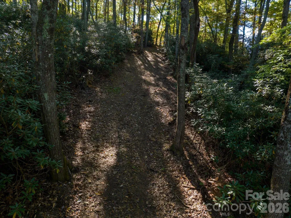 0 Big Hungry Road Flat Rock, NC 28731