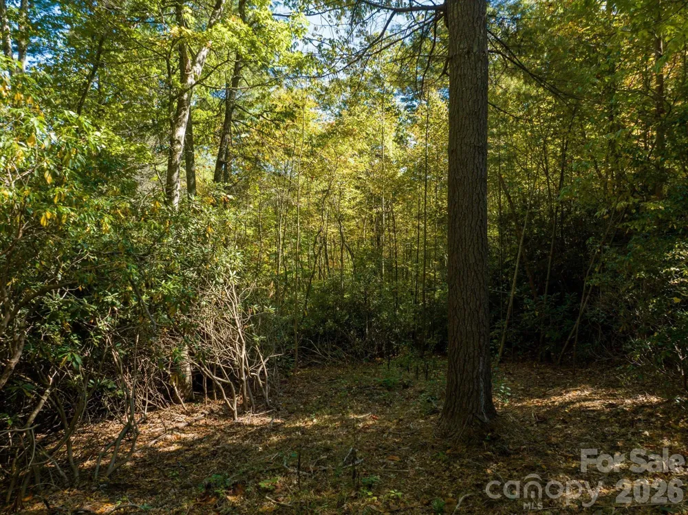 0 Big Hungry Road Flat Rock, NC 28731