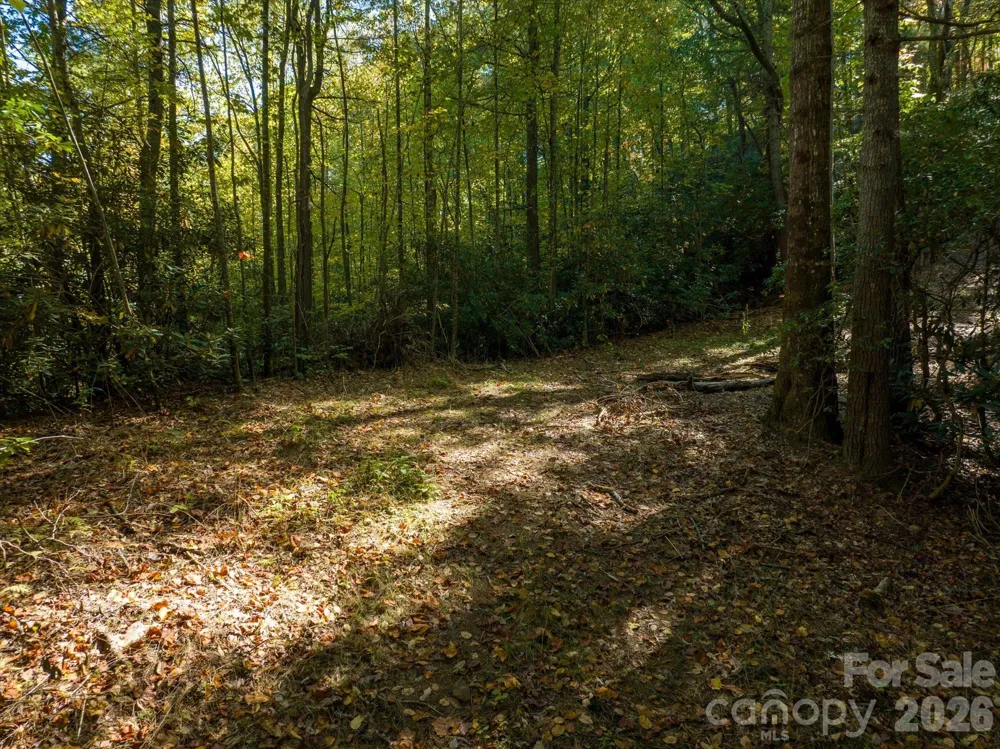 0 Big Hungry Road Flat Rock, NC 28731