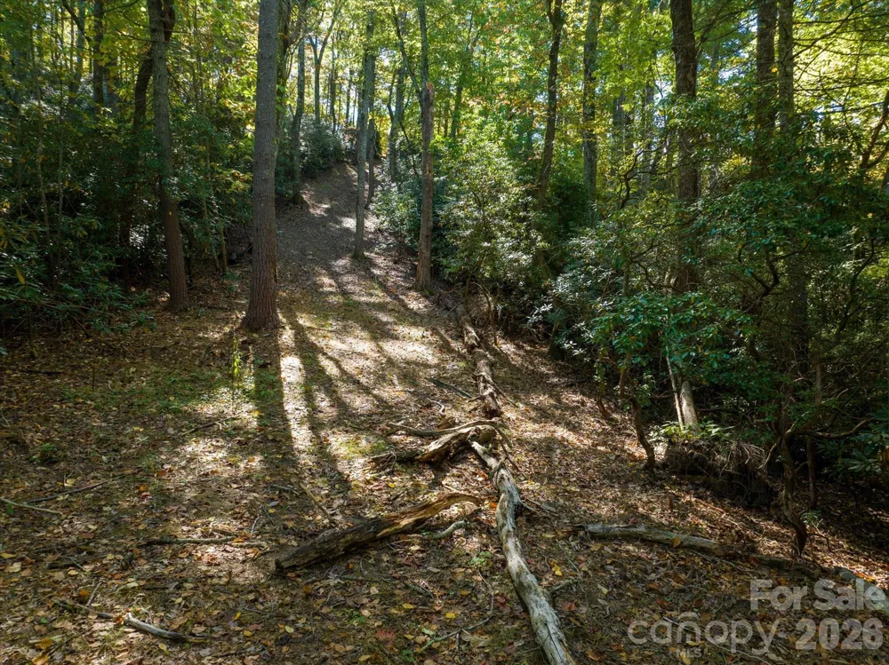 0 Big Hungry Road Flat Rock, NC 28731