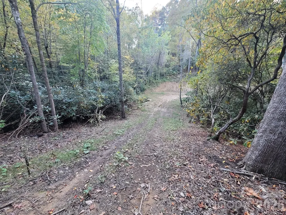 0 Big Hungry Road Flat Rock, NC 28731