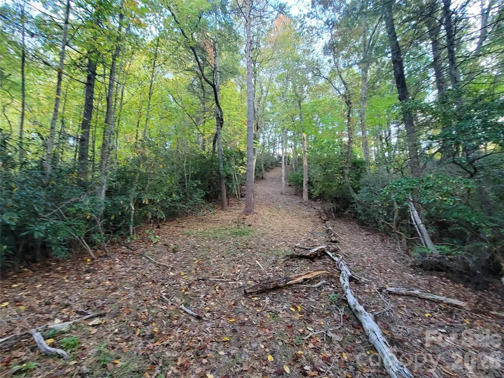 0 Big Hungry Road Flat Rock, NC 28731