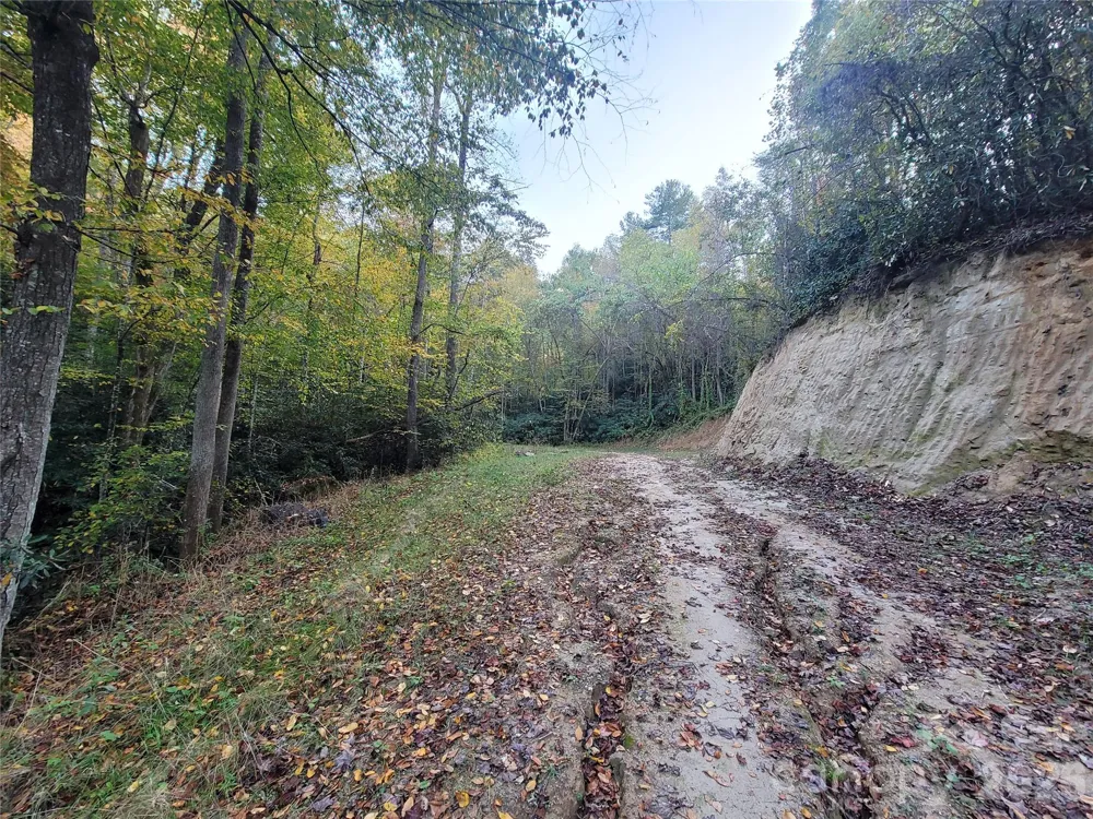 0 Big Hungry Road Flat Rock, NC 28731