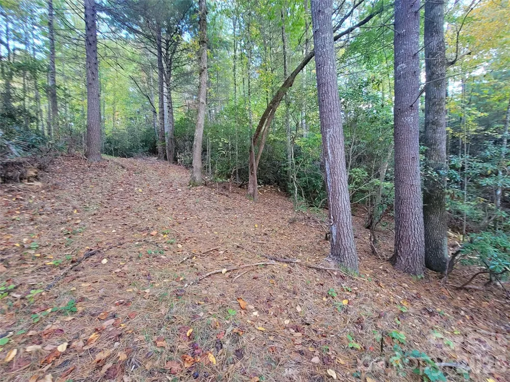 0 Big Hungry Road Flat Rock, NC 28731