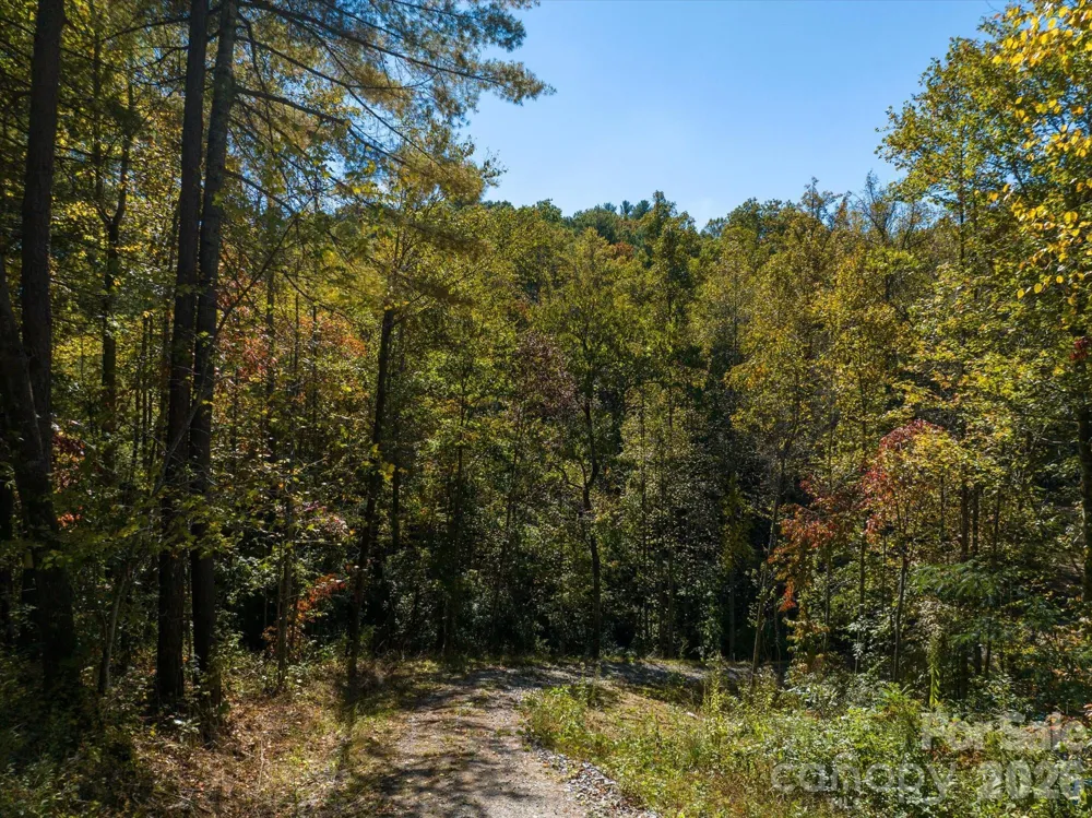 0 Big Hungry Road Flat Rock, NC 28731