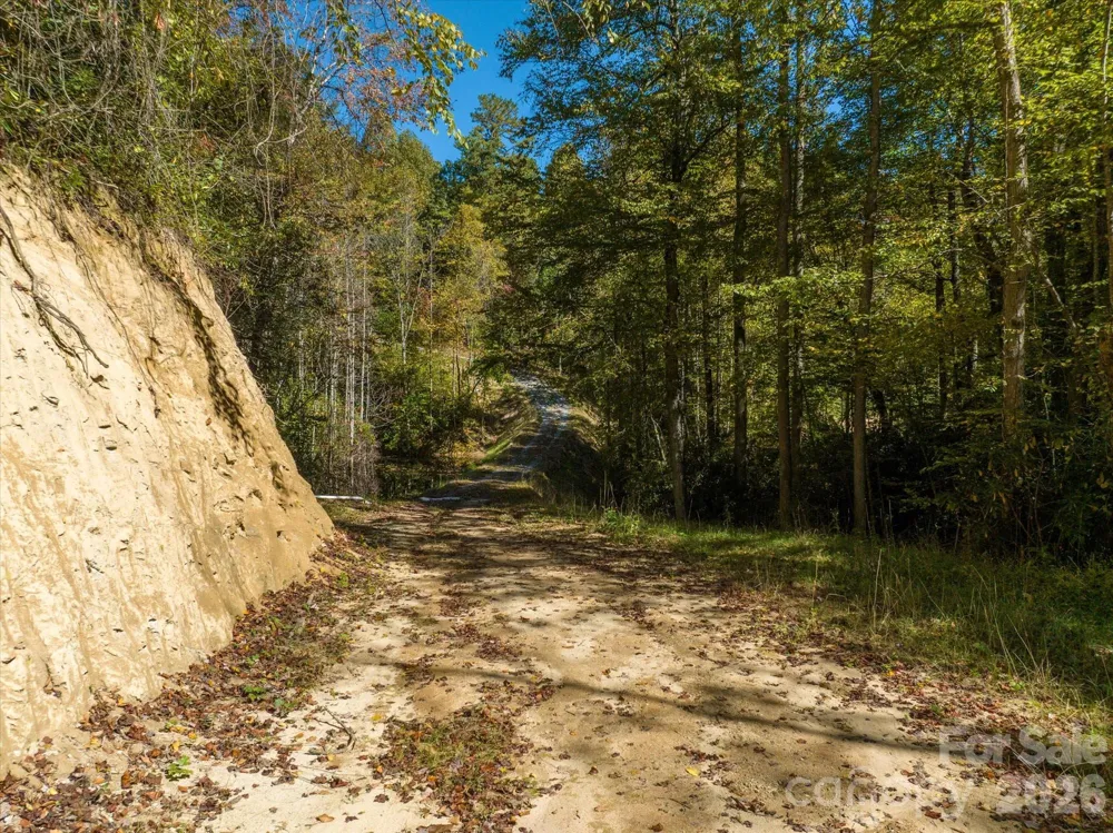 0 Big Hungry Road Flat Rock, NC 28731