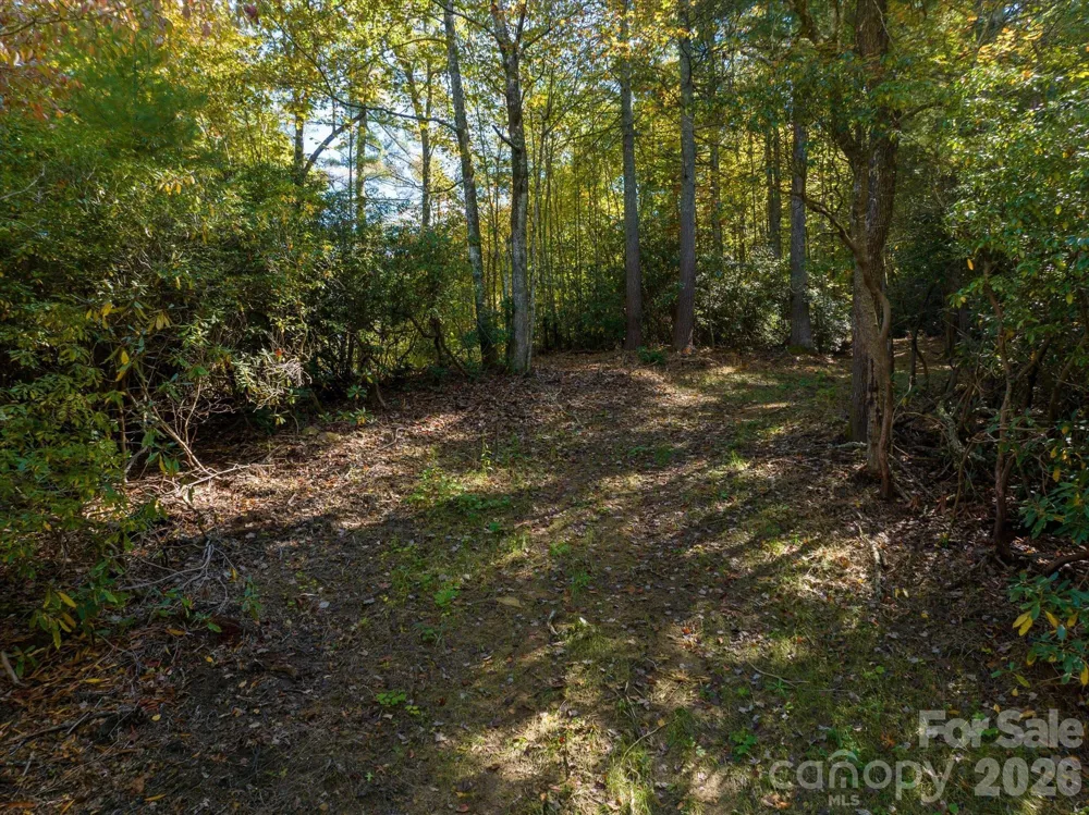0 Big Hungry Road Flat Rock, NC 28731