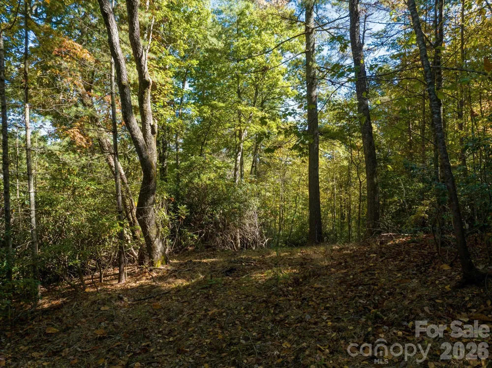 0 Big Hungry Road Flat Rock, NC 28731